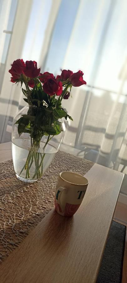 Nova Apartment Sanok Bagian luar foto