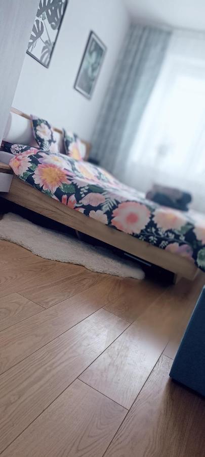 Nova Apartment Sanok Bagian luar foto